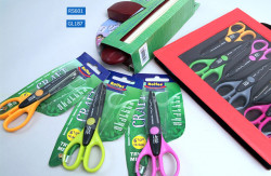 Craft Scissors